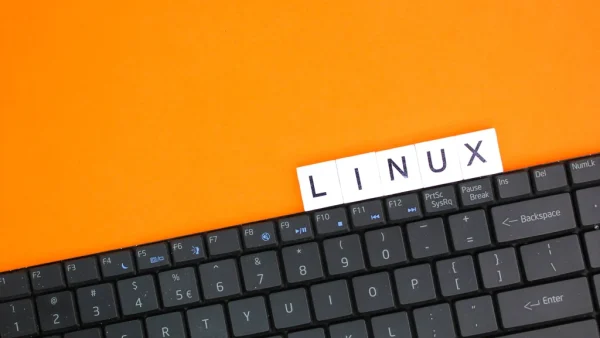 サポート終了で脆弱に？Linux 6ユーザーが知るべきセキュリティ対策とは？